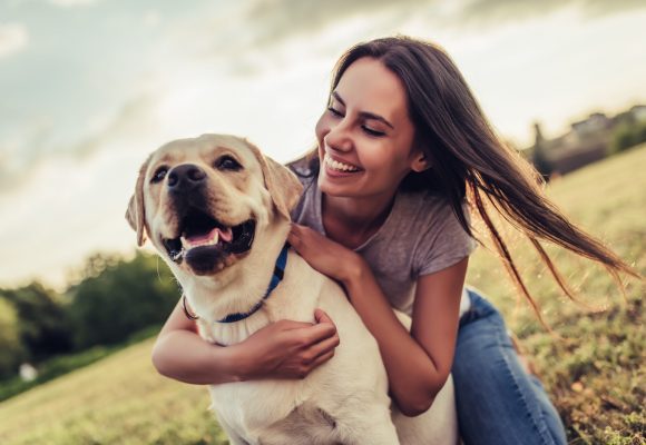 Who Keeps the Pets During a Divorce?