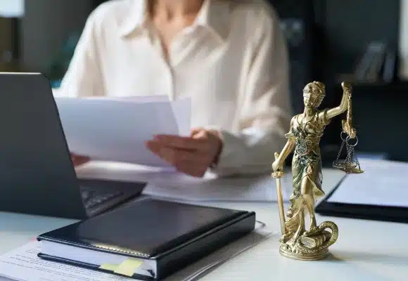 The Family Law Attorney For Attorneys